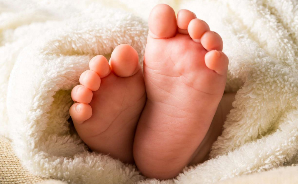 Фотография использована в иллюстрационных целях и взята из открытого доступа Яндекс-фото