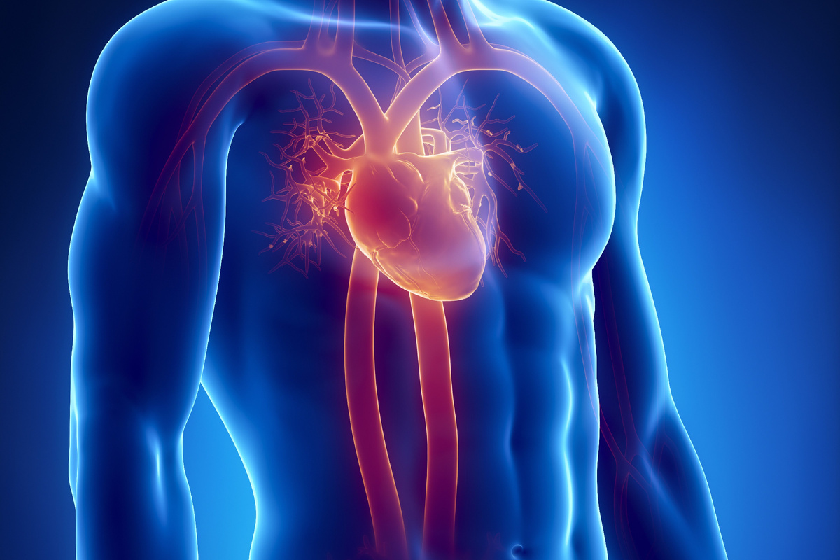 80% инфарктов и инсультов происходят из-за этого! Как защитить сосуды?