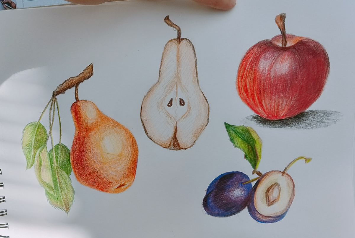 Это мои работы