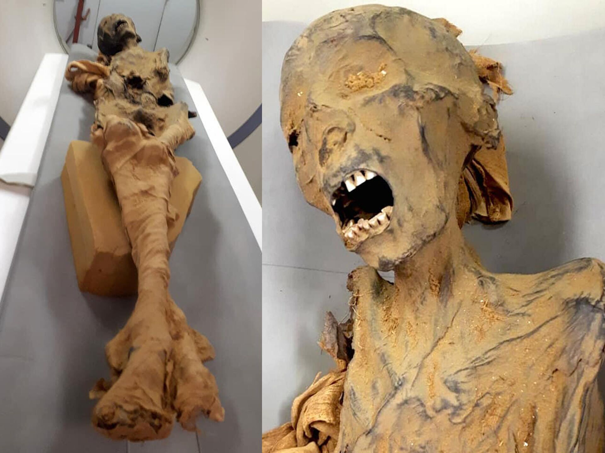 кричащая мумия Рамсеса III