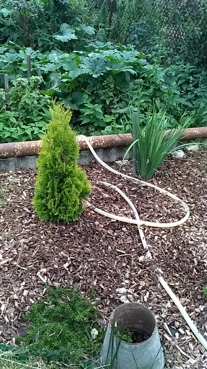 Было в 2016 году