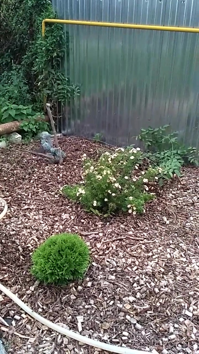 Было в 2016 году