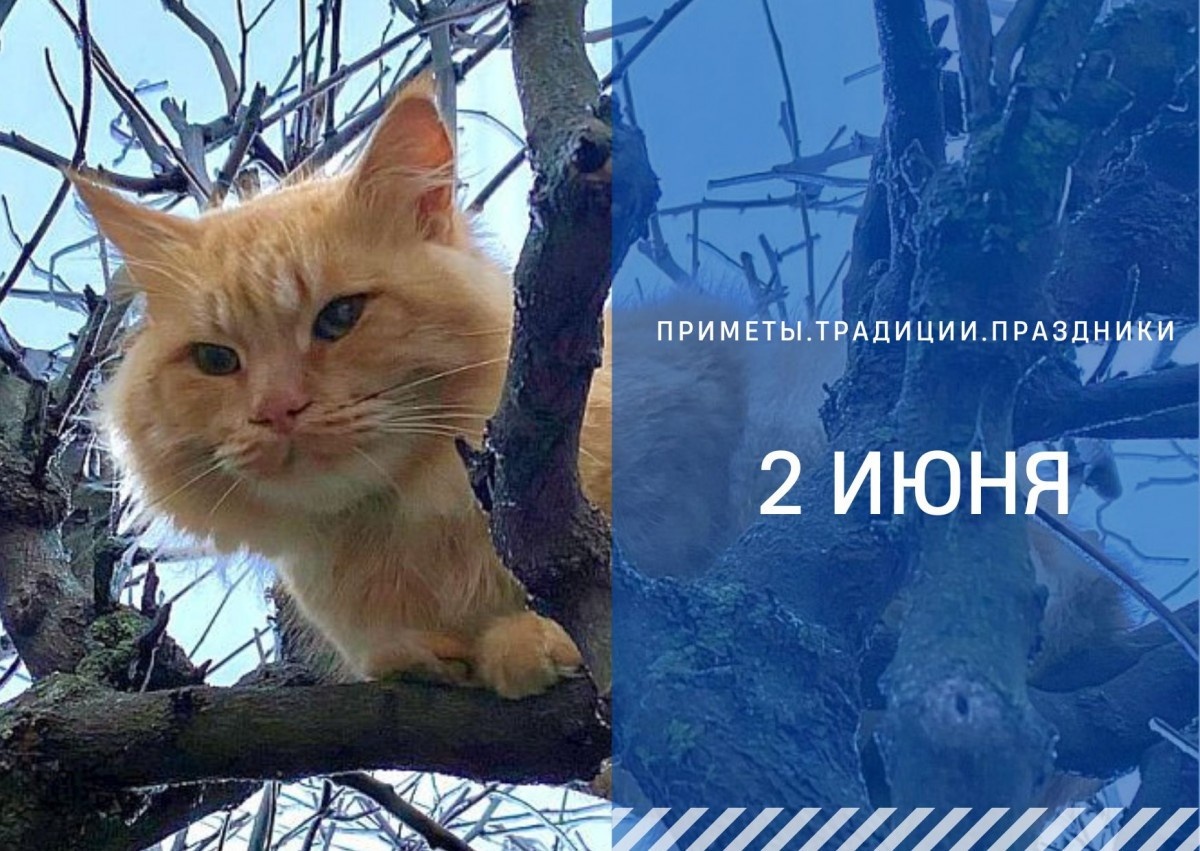   ГТРК "Ставрополье"