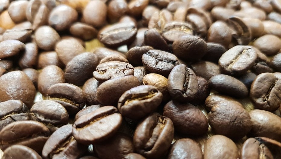    Автор фото: Тихонов Михаил/"ДП"