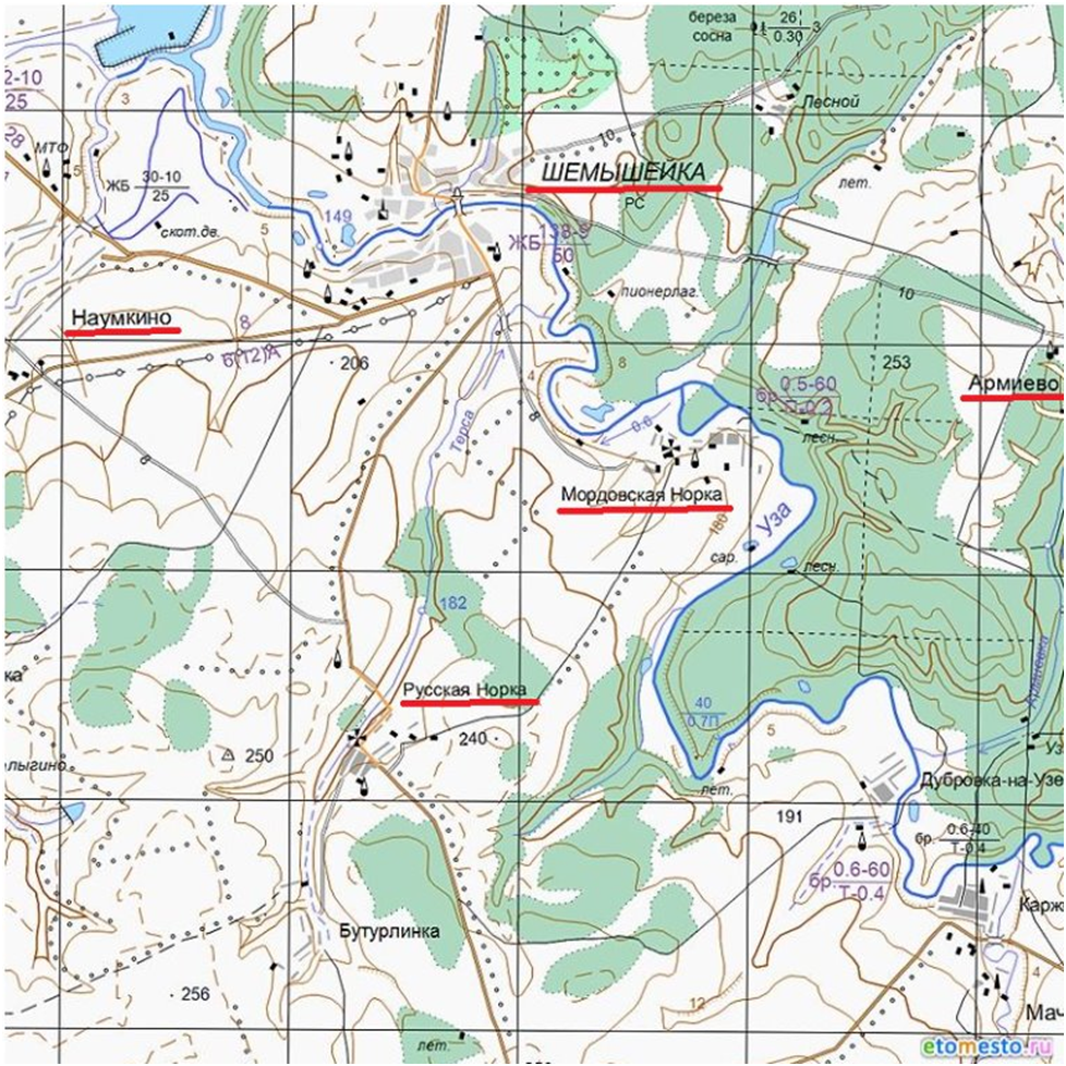 Карта (фрагмент) топографиечская Пензенской  области.
На карте - Наумкино, Шемышейка, Армиево, Мордовская Норка, Русская Норка и др. Источник: АРМИЁВО и ШЕМЫШЕЙКА. Не забывай своё прошлое! — OK
ok.ru›Группы›АРМИЁВО и ШЕМЫШЕЙКА. Не забывай своё про
