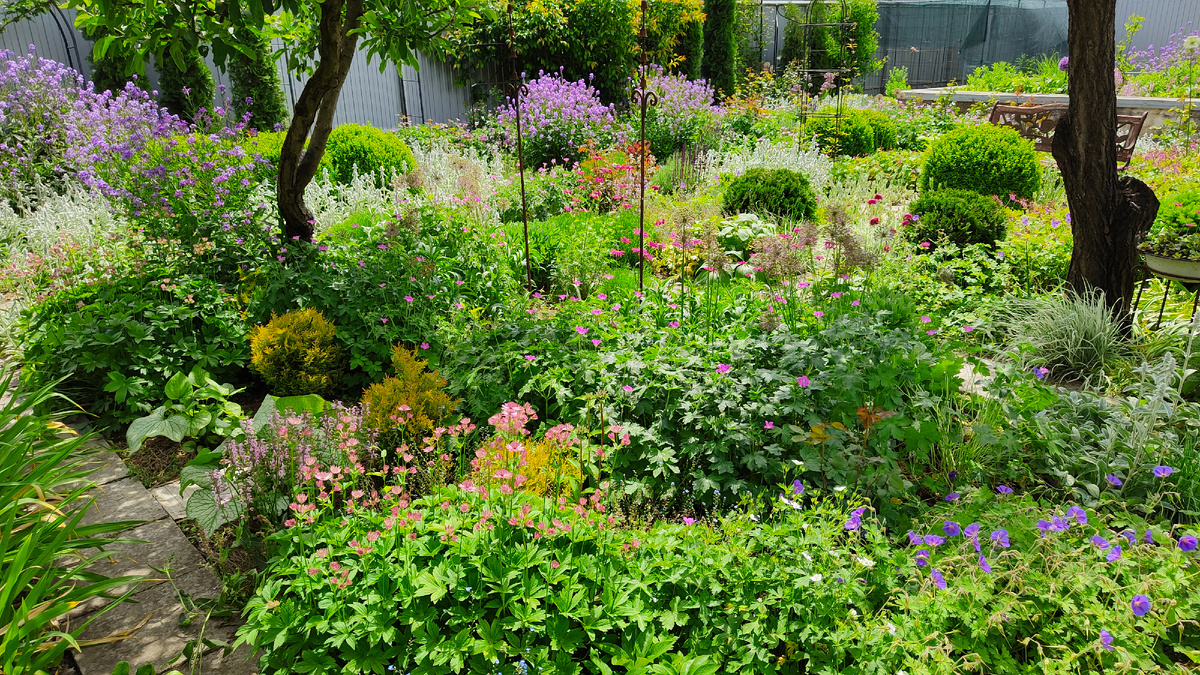 27 мая 2025 г. Сад в лучах солнца.