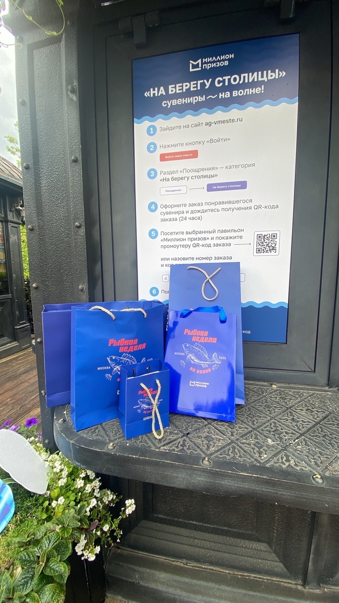 Полученные поощрения. Фото автора