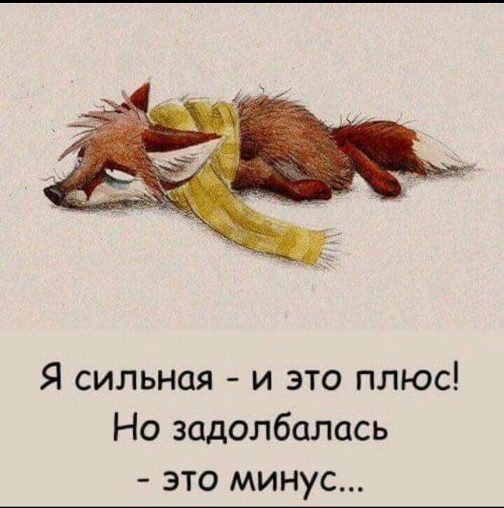 Фото из открытых источников сети Интернет 