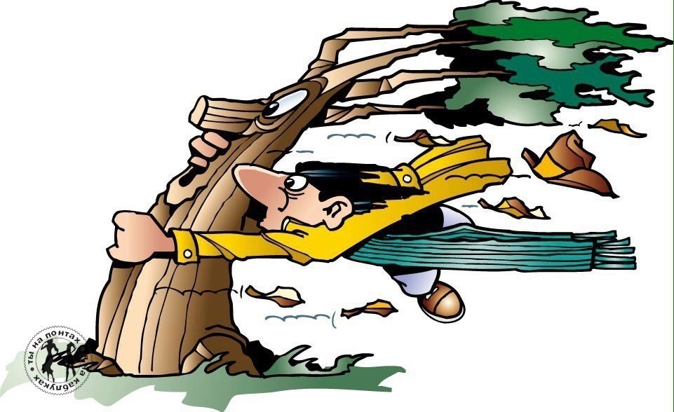 Фото из открытых источников сети Интернет 