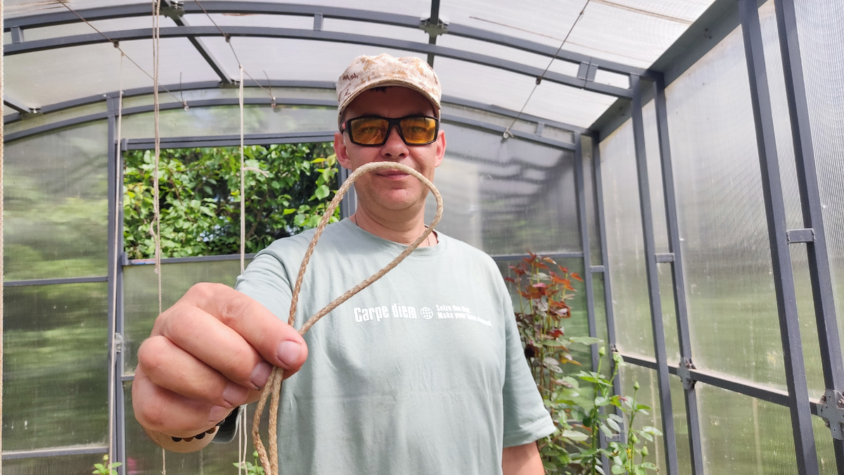 Я использую для подвязки томатов и огурцов в теплице и открытом грунте веревочные подвязки.