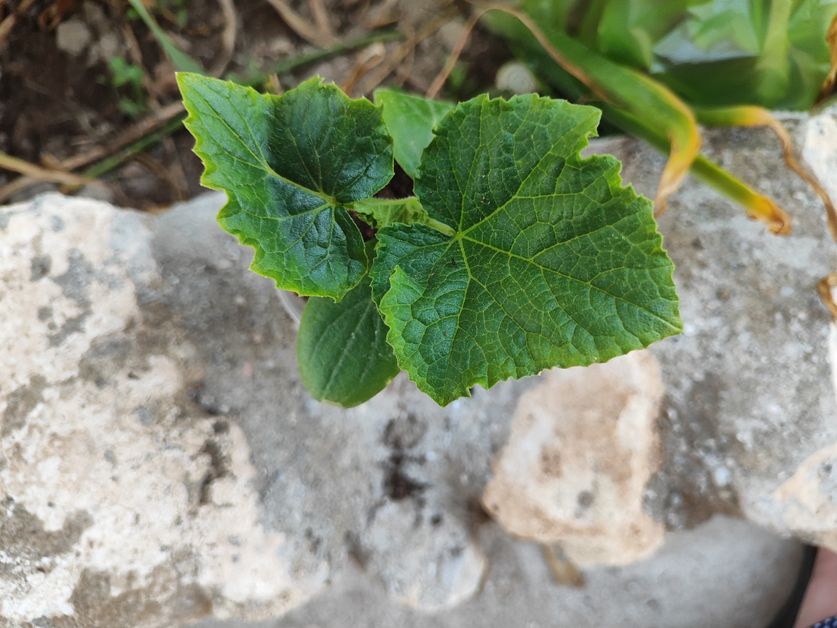 Перед посадкой 