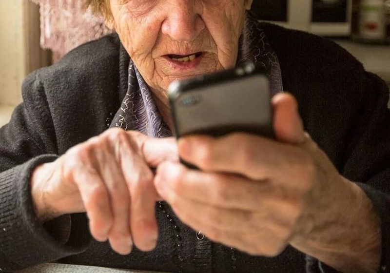 Фото взято: Google