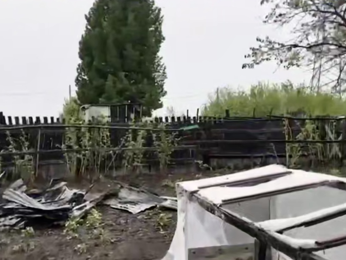 Когда-то был уютный участок с тепличкой