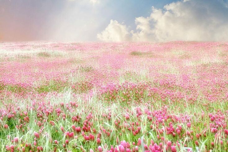 Источник: Яндекс. Картинки