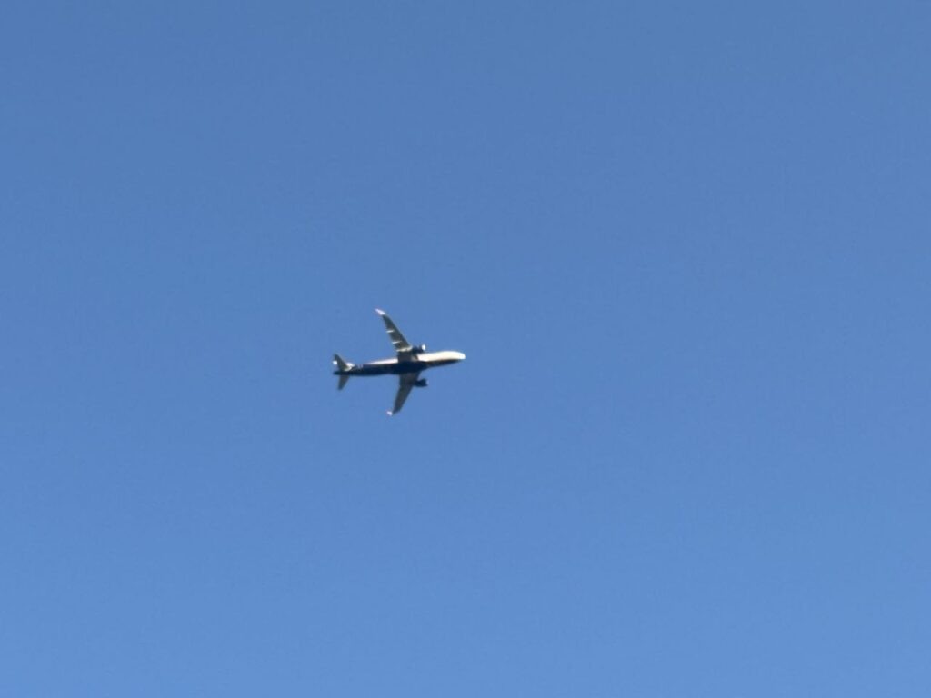    Фото: В курсе.ру Ольга Гилёва