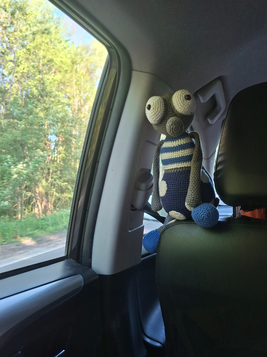 Фото автора канала