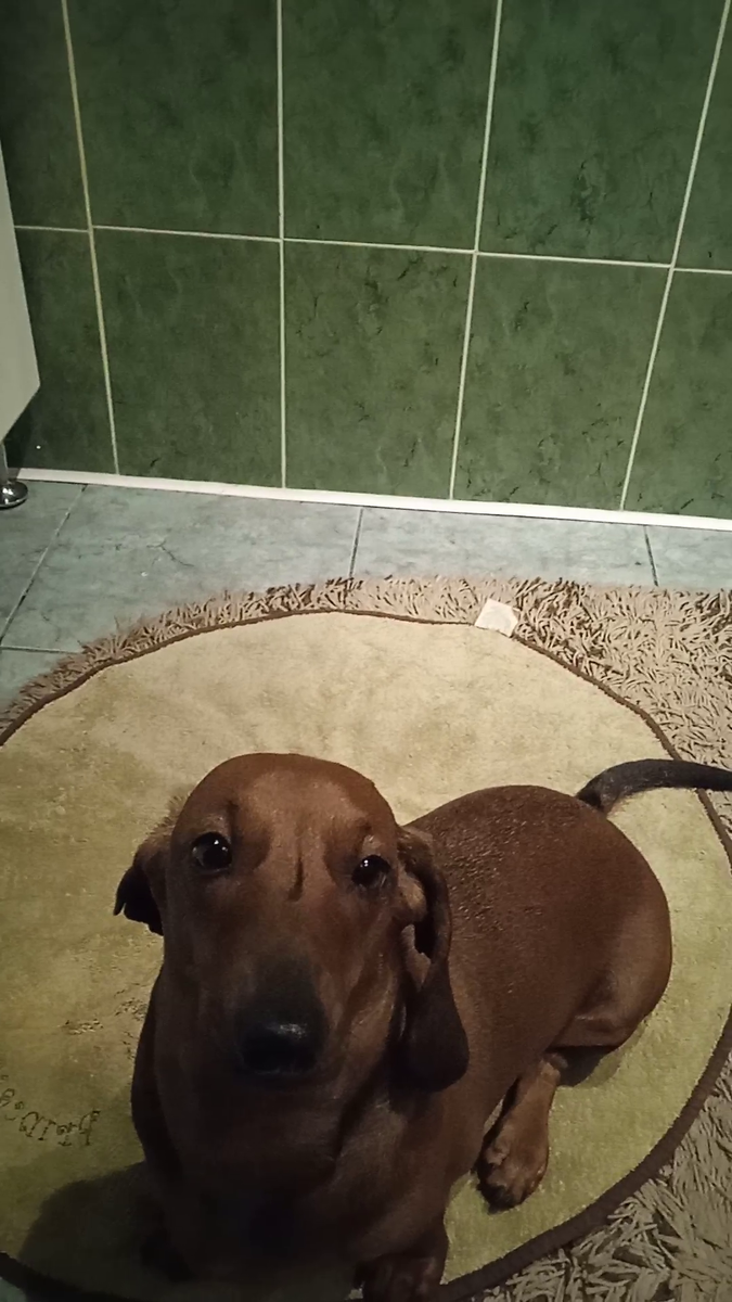 Не люблю это страшное место – ванную комнату