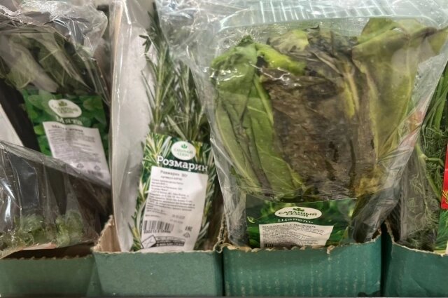    Фото: АиФ в Туле/ Юлия Богомолова