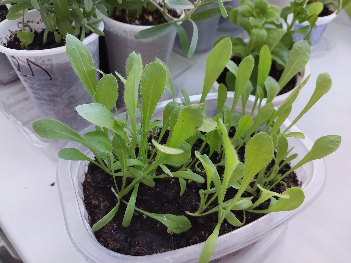 Статица заждалась своего часа.