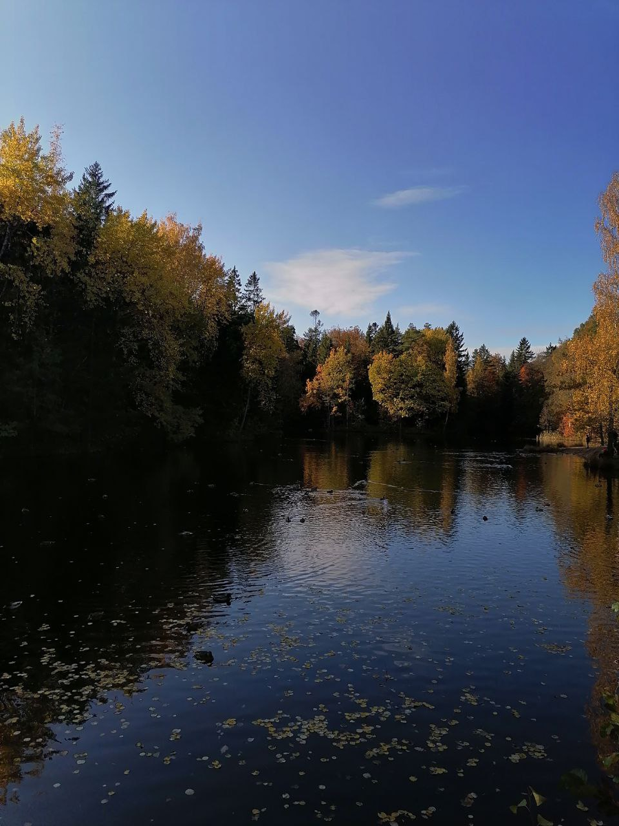 Пруд Кристателька