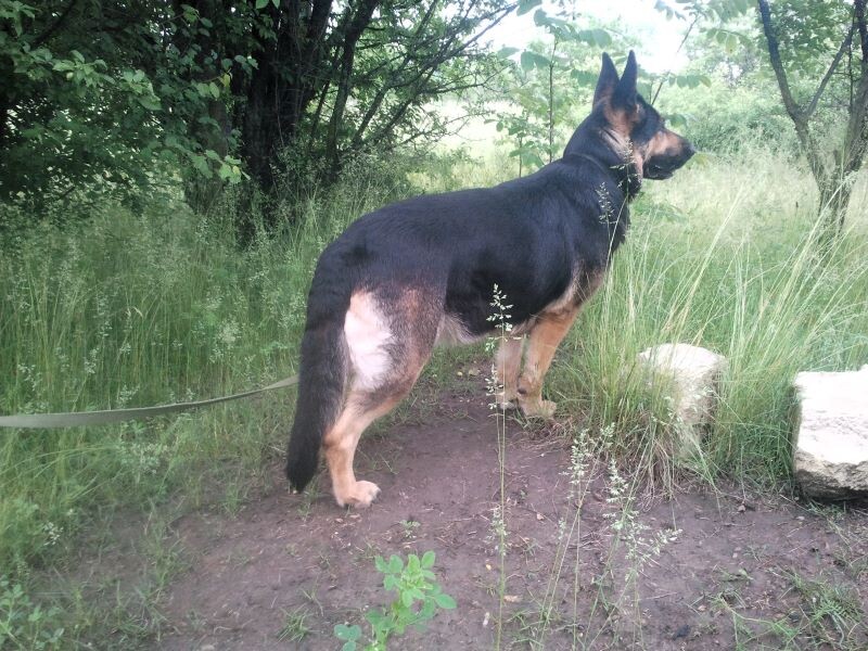 Фото автора