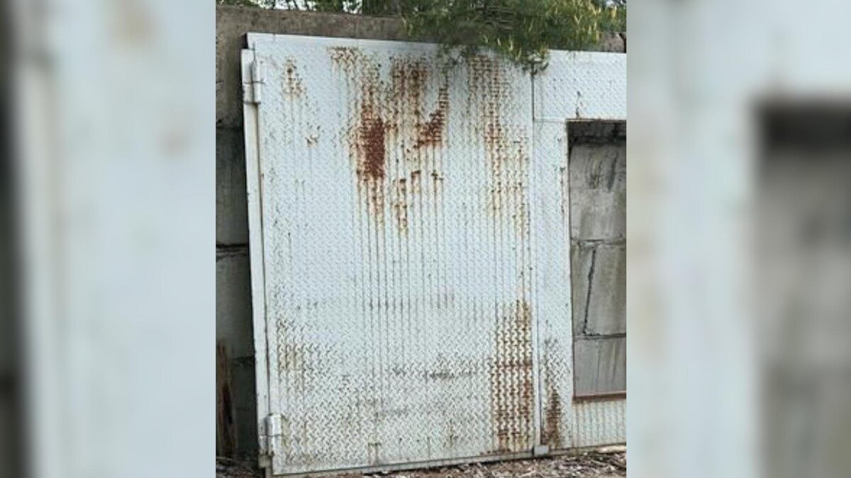    Фото: пресс-служба прокуратуры Ленинградской области