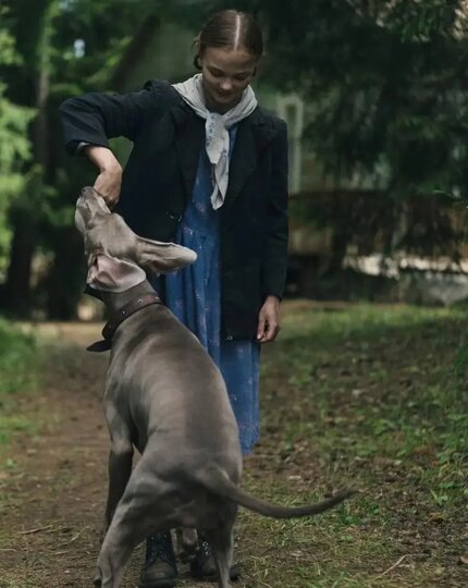    Фильм "Каруза" – это история дружбы пса и ребёнка во время войны.кинопоиск