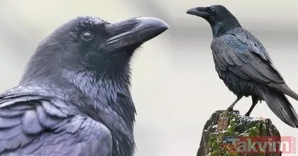 #прощение #отецисын #мужскаяпсихология #семейныетайны