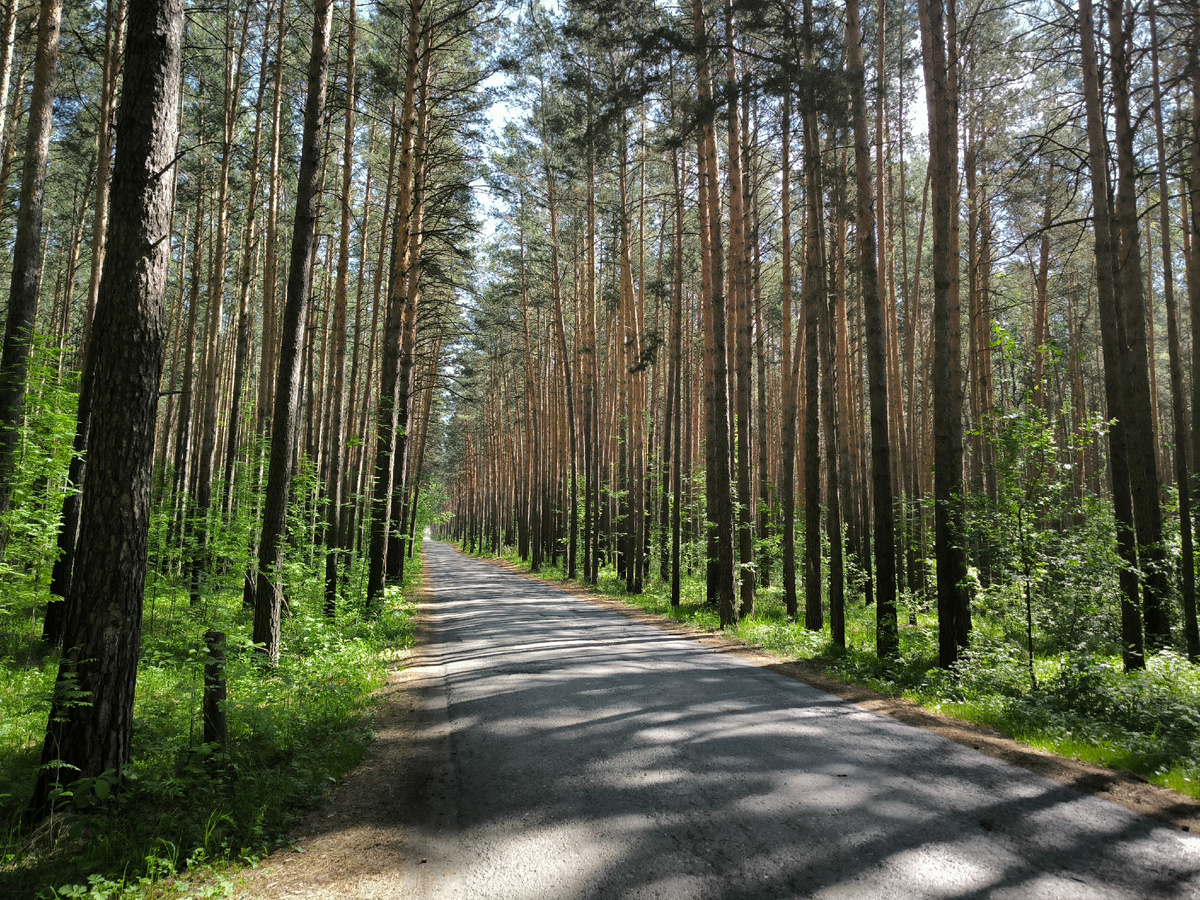 Дорожка к дачам