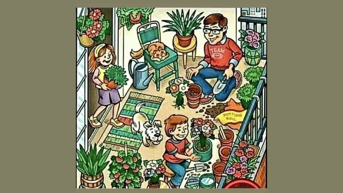 Где банан?🍌