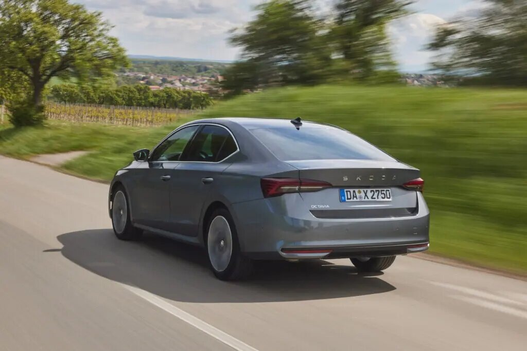 Корма Skoda Octavia 