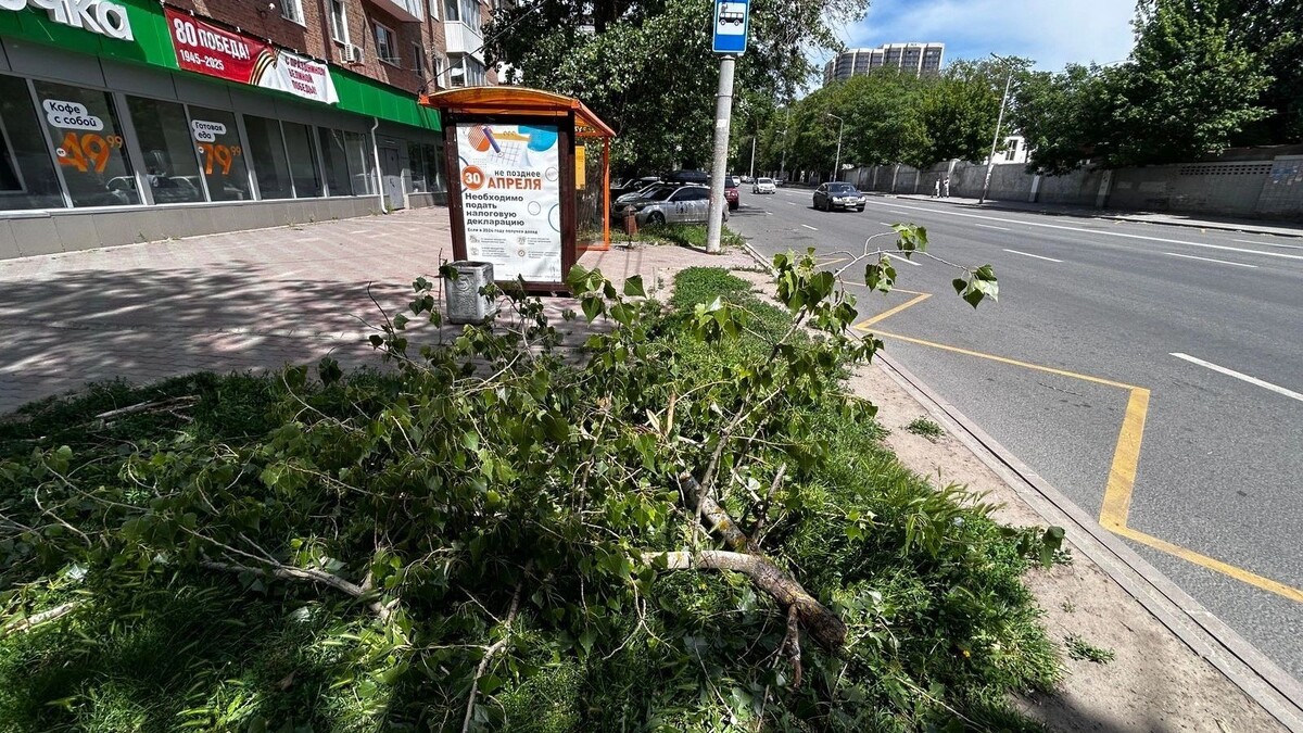     Источник: rostovgazeta.ru