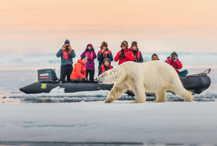 Самые знаменитые экспедиции в Арктику и Антарктику