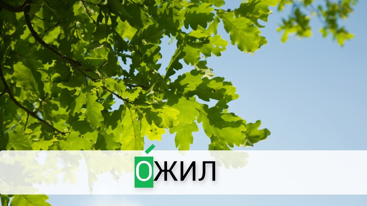 ���� �� freepik