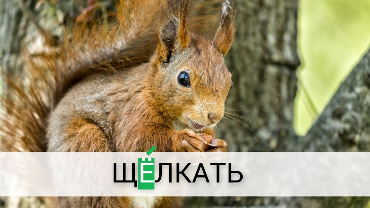 ���� �� freepik