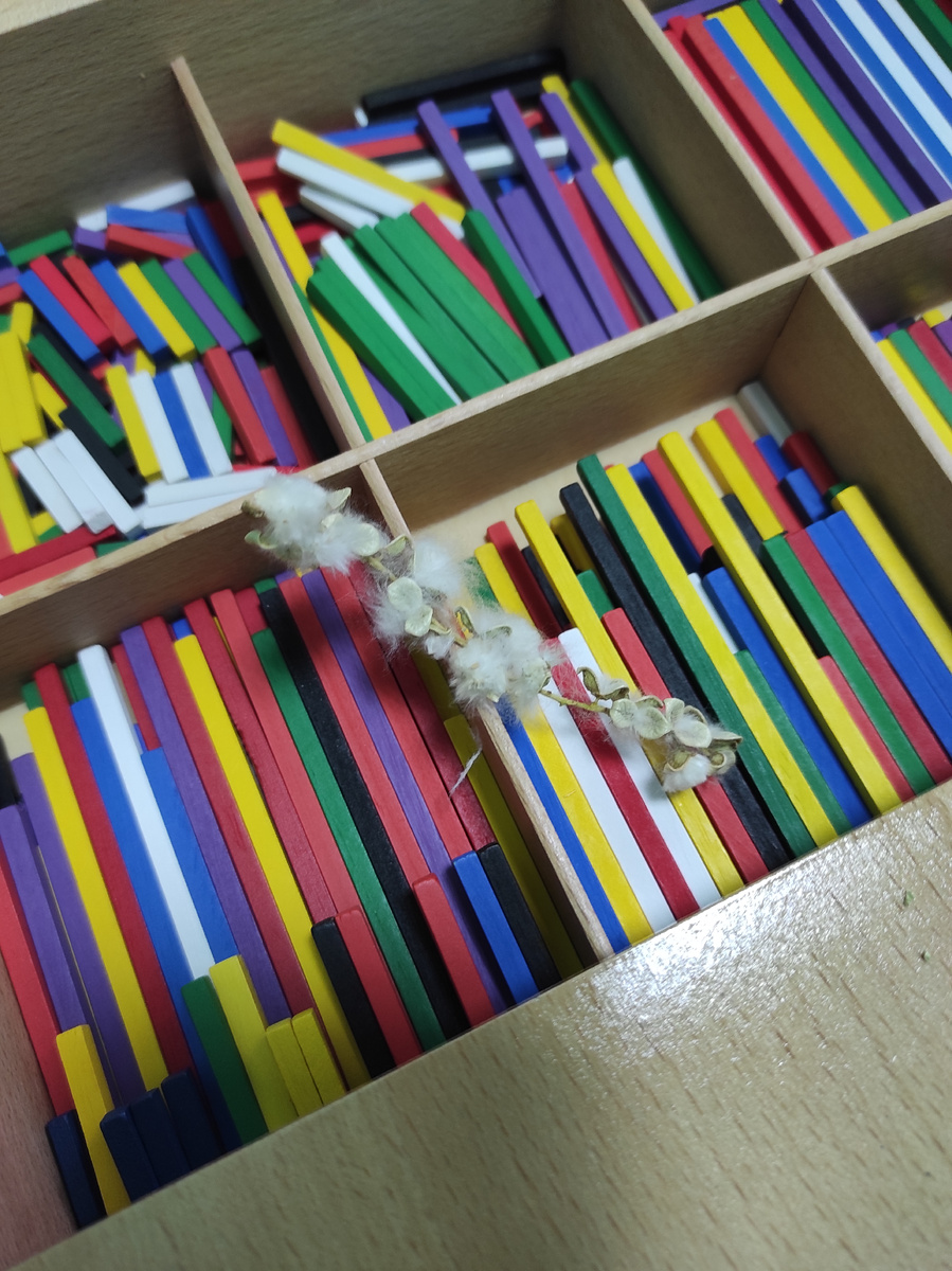 Это цвет тополя, наверное