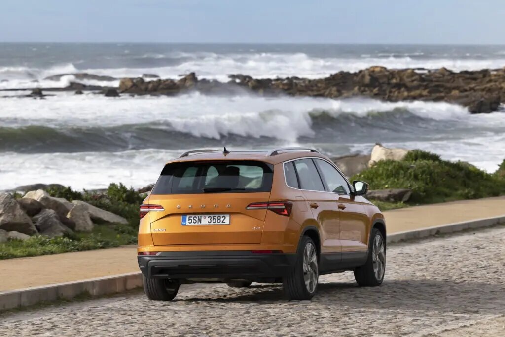 Корма Skoda Karoq 