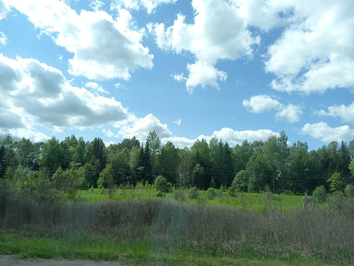 из окна автомашины