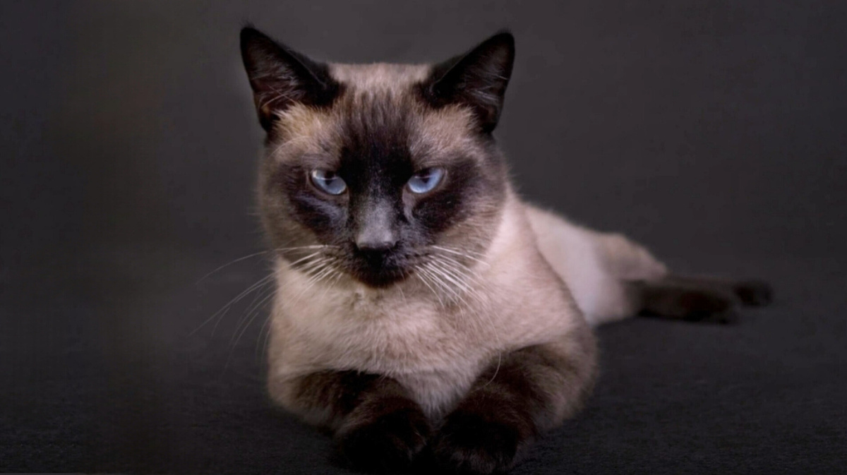 Я слежу за тем, кому ты там комплименты раздаешь...