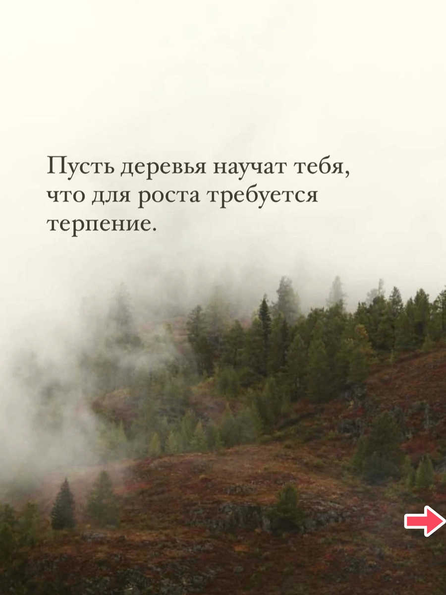 Взято в открытом доступе 