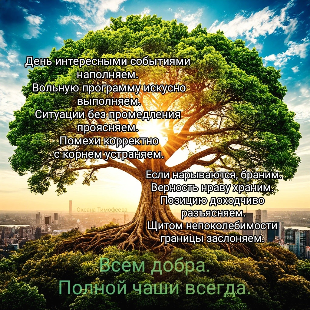 Правильные мысли. Оксана Тимофеева (автор)