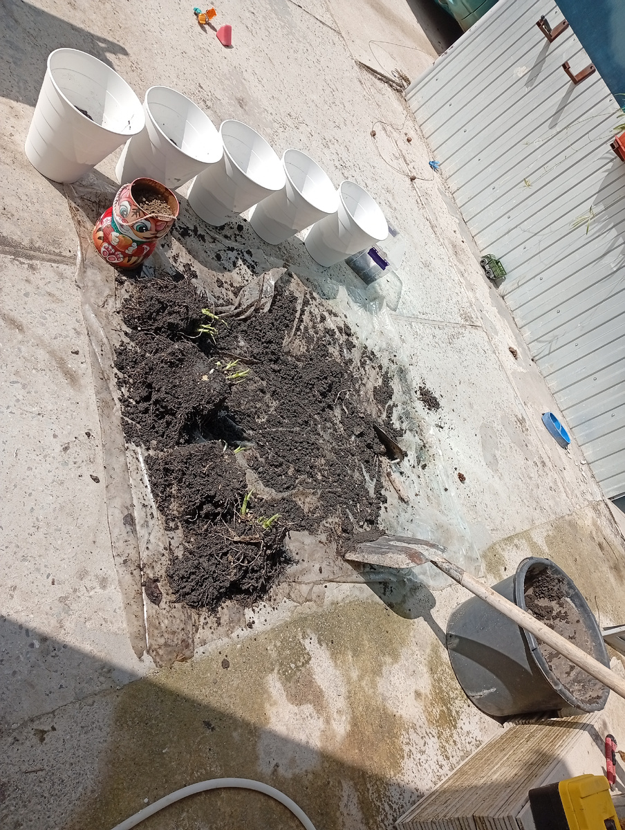   5 горшков по 10 литров