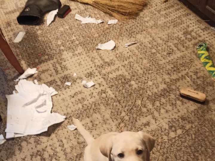 Деревенский детектив