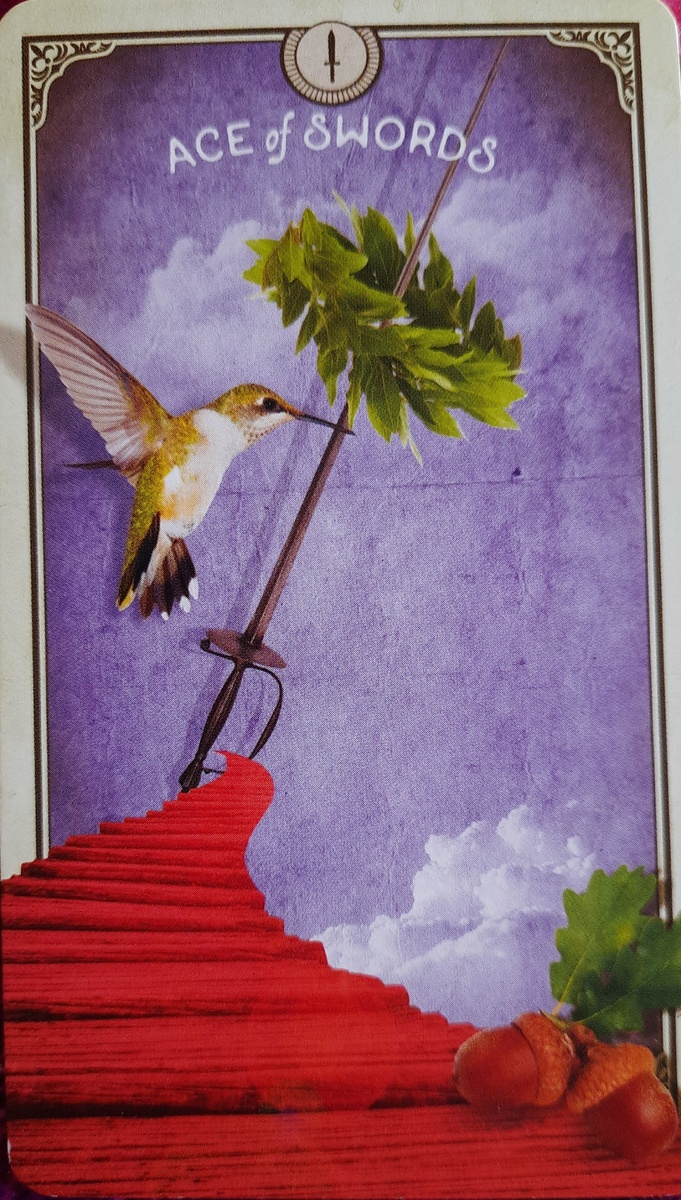 фото ЕлВита