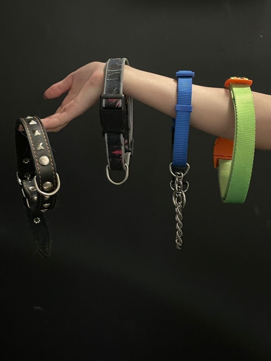 Вика сказала, что собака должна быть модной! Вот так, мама!