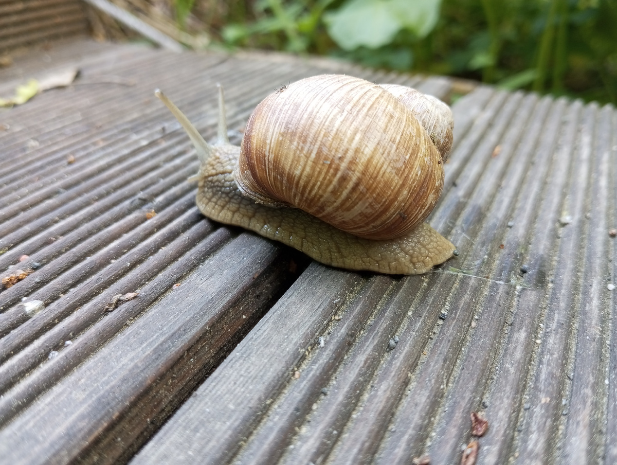 Медленно, но верно повышаю свою начитанность:-)