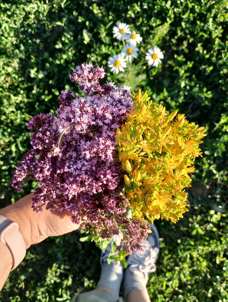 Букет из лета