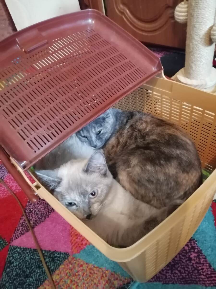 фото автора 