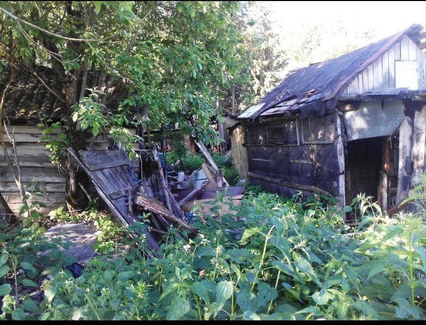 Фото для примера, скачала в интернете.