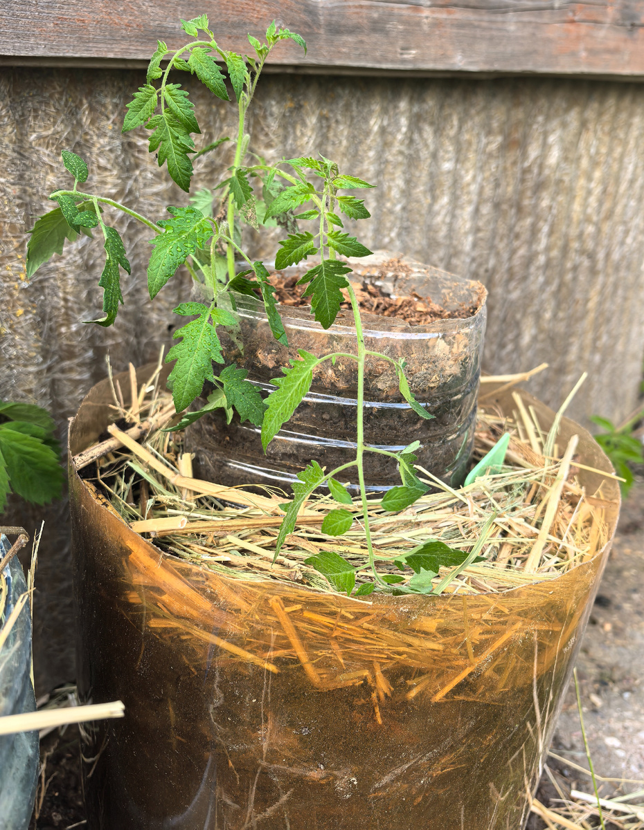 Об этом способе расскажу подробно в следующей публикации 